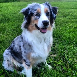 Meet your Posher, Sabrina